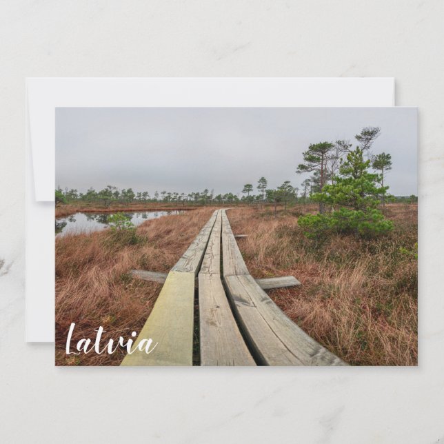 Höljspår i träsk (Framsida)