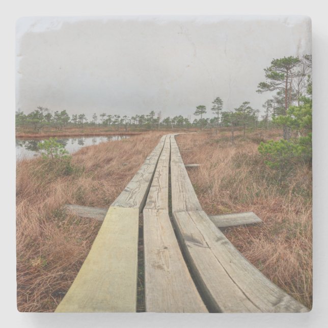 Höljspår i träsk stenunderlägg (Framsidan)