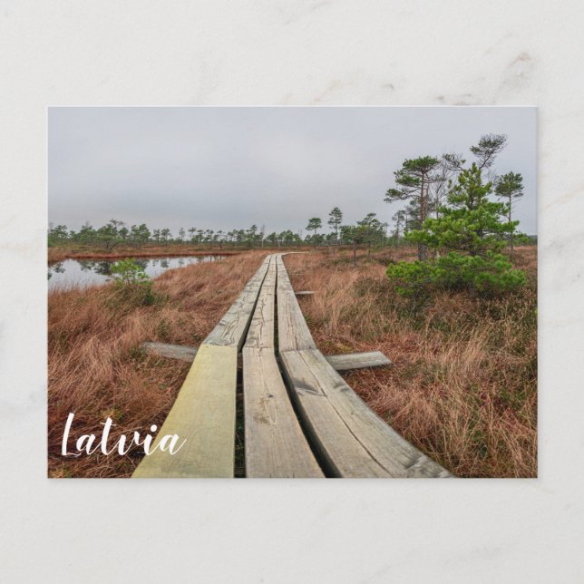 Höljspår i träsk vykort (Framsida)