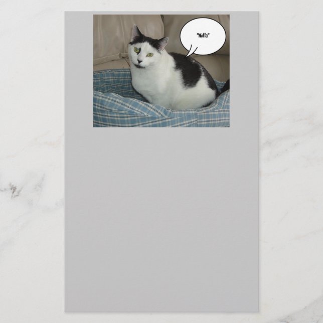 Holla Cat Humor Brevpapper (Framsida)