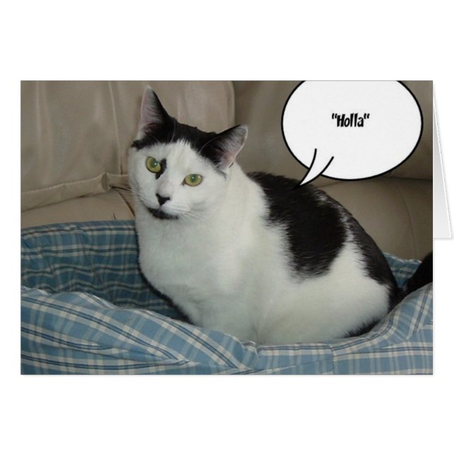 Holla Hälsningskort (Framsidan Horizontal)