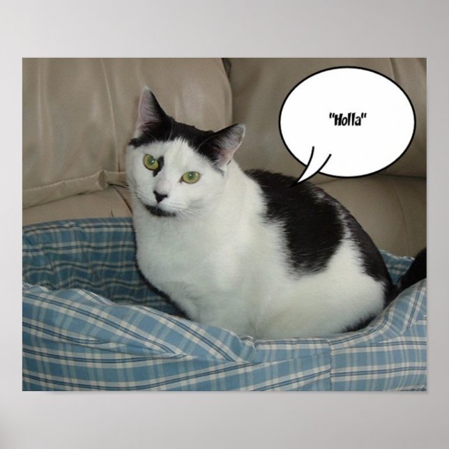 Holla!/Hej Poster (Framsidan)