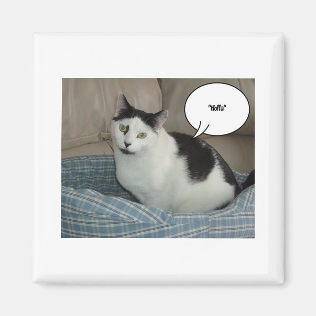 Holla! Magnet (Framsidan)