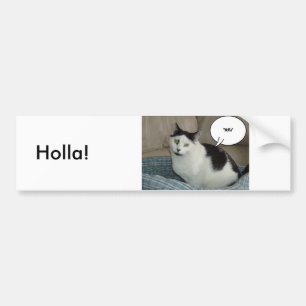 Holla /Raise Tak! Hej Bildekal