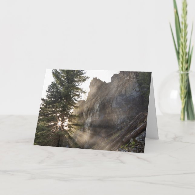 Holland Falls | Lolo National Forest, Montana Kort (Framsida)