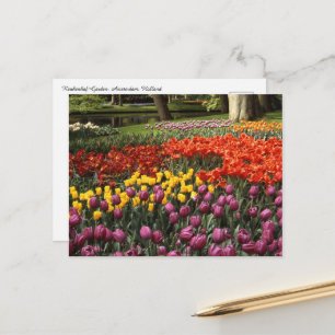 Holland Keukenhof Vykort