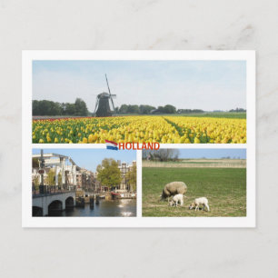 Holland Kvarn Tulips Amsterdam Netherlands Ligcape Vykort