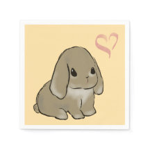 Holland lop bunny