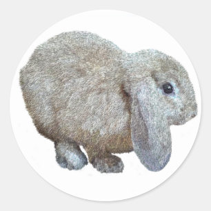 Holland Lop Ear Rabbit Stickers Runt Klistermärke