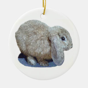 Holland Lop gå i ax kaninprydnaden Julgransprydnad Keramik