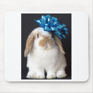 Holland Lop Mousepad Musmatta
