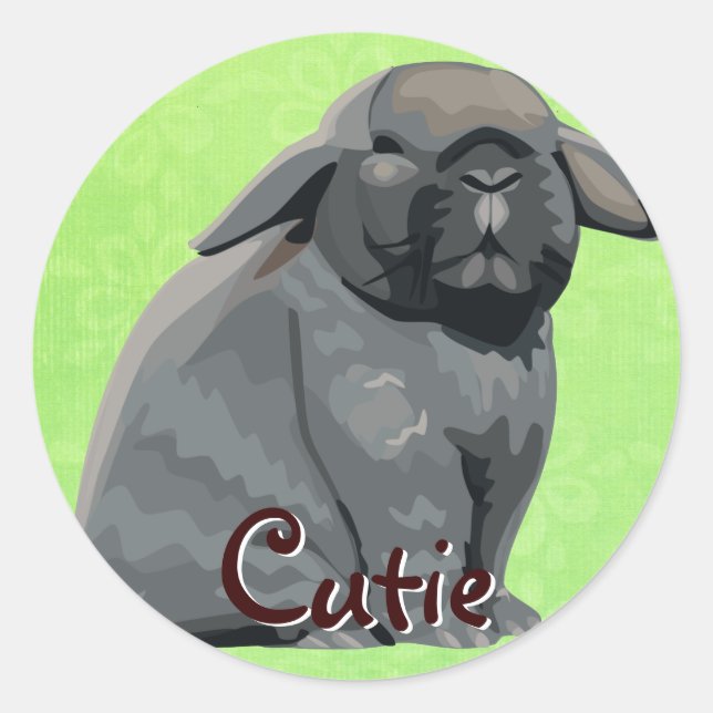 Holland Lop Stickers Runt Klistermärke (Framsida)
