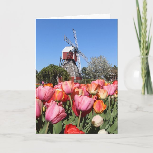 Holland, Michigan, kort (Framsida)