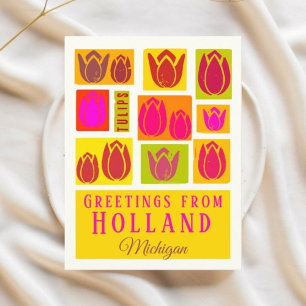 Holland Michigan USA Tulpaner Vykort