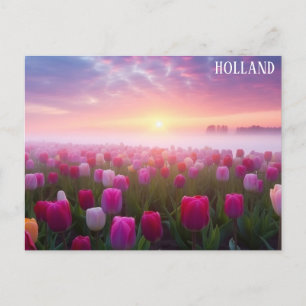 Holland Nederländerna Holländska Tulpaner Resa Fot Vykort