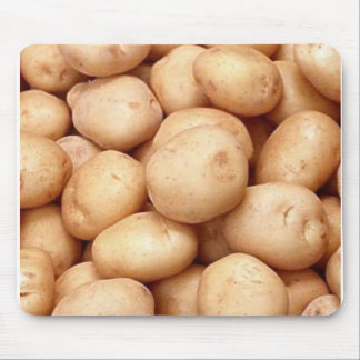 Holland_Potato Musmatta