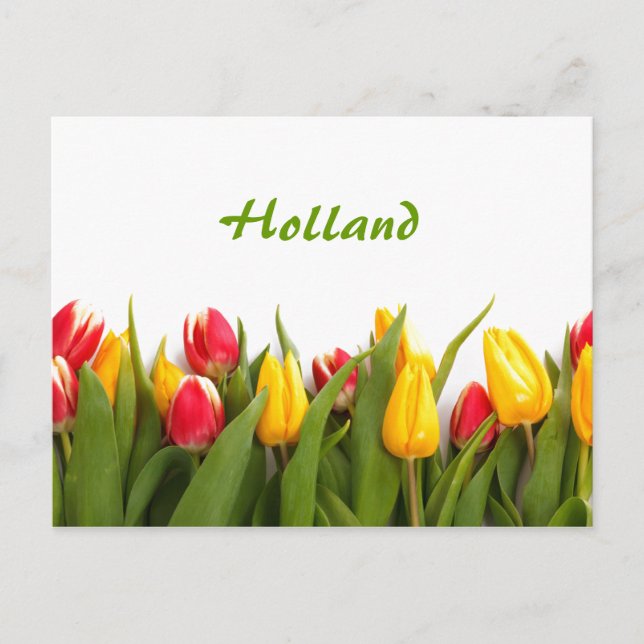 Holland, Vår Tulip Garden Postcard Vykort (Framsida)