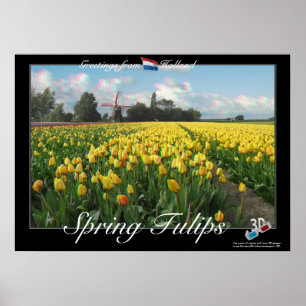 Holland Vår Tulips liggande 3D Anaglyph Poster
