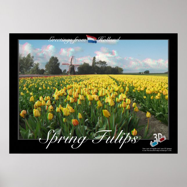 Holland Vår Tulips liggande 3D Anaglyph Poster (Framsidan)