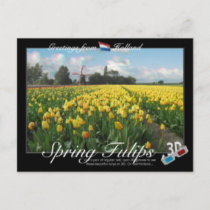 Holland Vår Tulips liggande 3D Anaglyph Vykort