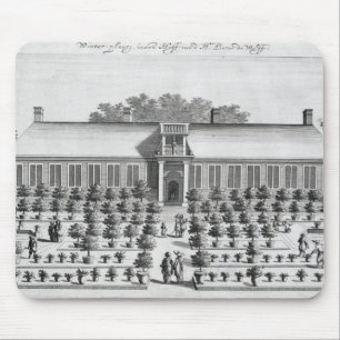 Holländareträdgård, från "De Nederlandze Musmatta
