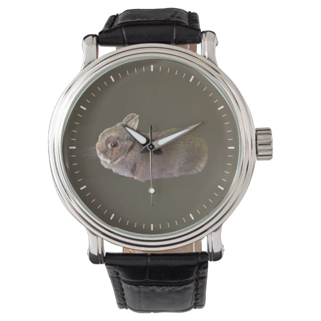 Hollandkanin Armbandsur (Framsida)
