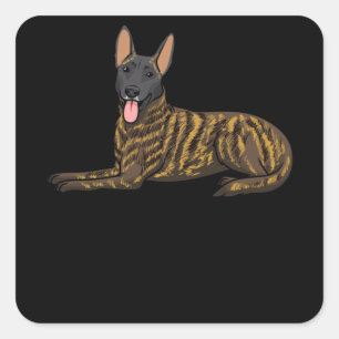 Hollandse Herdershond Dutch Shepherd Hund Fyrkantigt Klistermärke