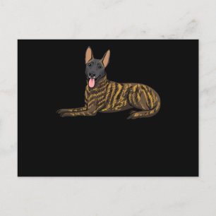 Hollandse Herdershond Dutch Shepherd Hund Vykort