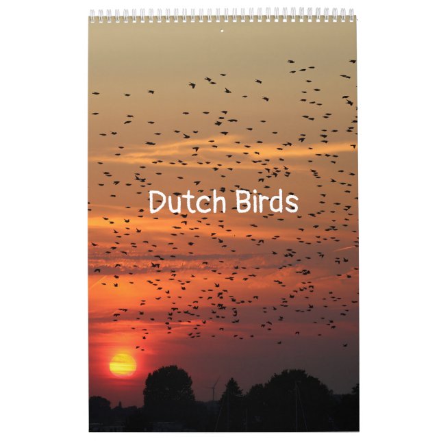 Hollandse vogels Kalender aan te passen (Omslag)