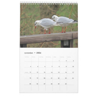 Hollandse vogels Kalender aan te passen