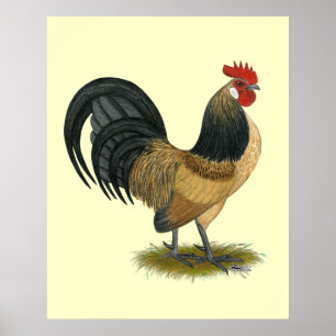 Holländsk Bantam: BlåttQuailtupp Poster