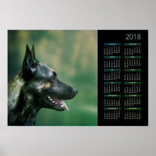 Holländsk herde - Dutchie kalender 2018 Poster