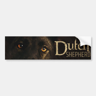 Holländsk herdehund - Dutchie Bildekal