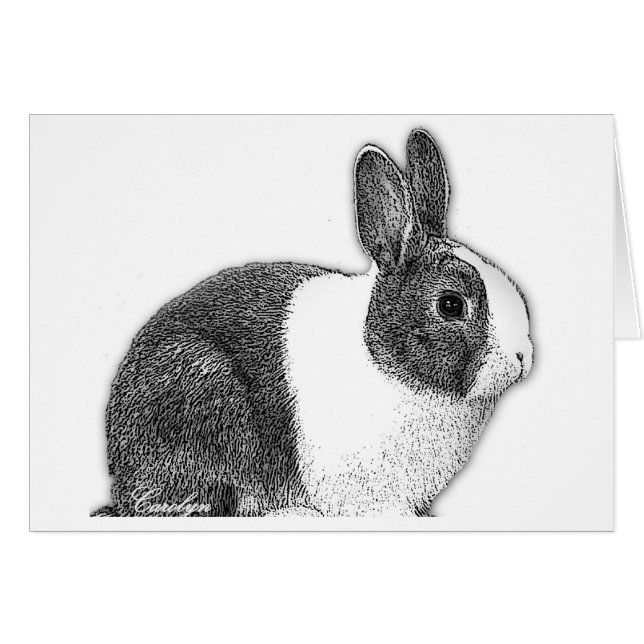 Holländsk kanin OBS kort (Framsidan Horizontal)