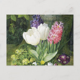 Holländsk kulavår blommor vykort
