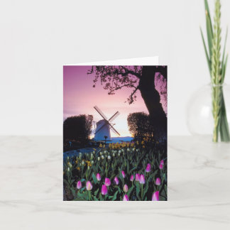 Holländsk kvarn på solnedgången i Holland Kort