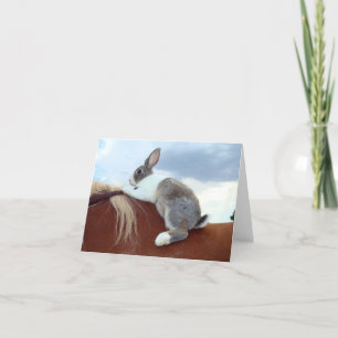 Holländsk notecard för häst för kaninkaninridning kort