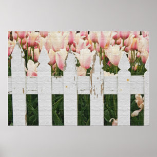 Holländsk rosa tulpanträdgård poster
