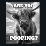 Höllandskö är du Pop Toilet Potty Humor Poster<br><div class="desc">"Höghlands badrumsvägg",  "skotsk hönos poster" "restrumsligt baddjur",  "söt horntjur med horn",  "korvar",  "korvar med visköljning",  "lustig humoristisk gård humor",  "pooping poop",  "realistiska djur fotografi av bild",  "svartvita toalettfoto",  "lumpedoft av humor"</div>