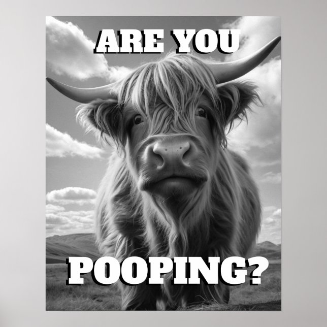 Höllandskö är du Pop Toilet Potty Humor Poster (Framsidan)