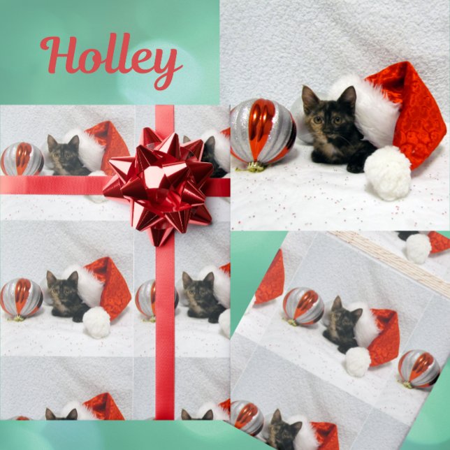 Holleys jul - Torti Cat-jul Presentpapper (Skapare uppladdad)