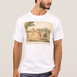 Hollisters björnmöte (0547A) Tee Shirt