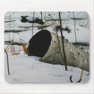 Hollow Birch Musmatta