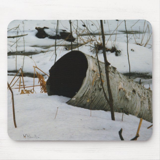 Hollow Birch Musmatta (Framsidan)