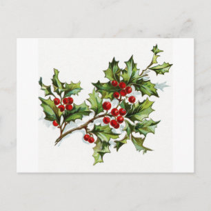 Holly Berries 001 Vykort