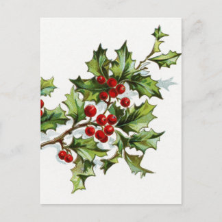 Holly Berries 001 Vykort