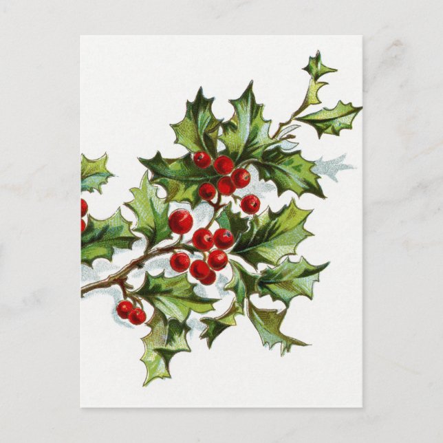 Holly Berries 001 Vykort (Framsida)