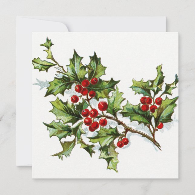 Holly Berries 002 (Framsida)