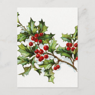 Holly Berries 002 Vykort