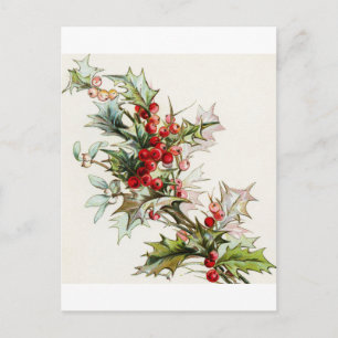 Holly Berries 004 Vykort